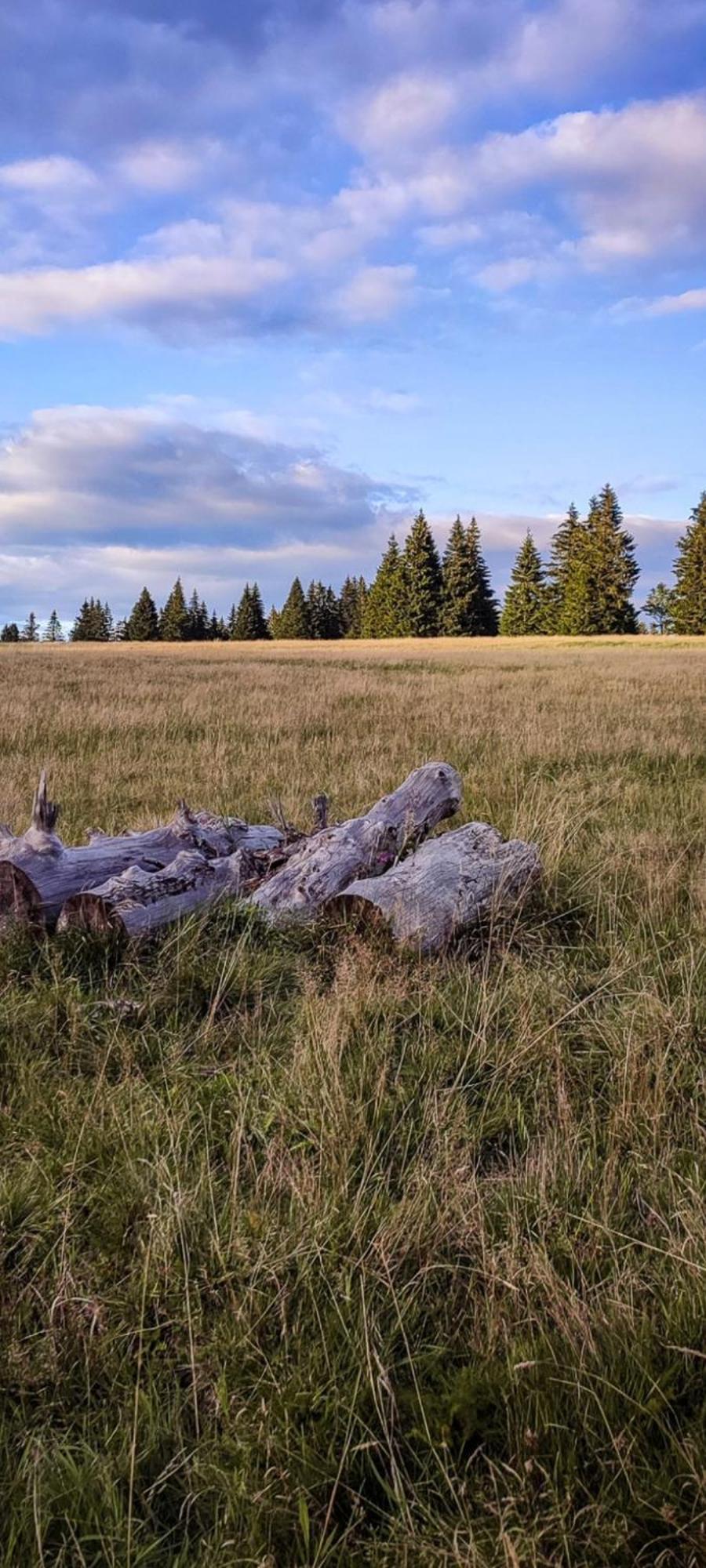 Restaurace A Penzion Vlci Jama Horní Blatná Exteriér fotografie