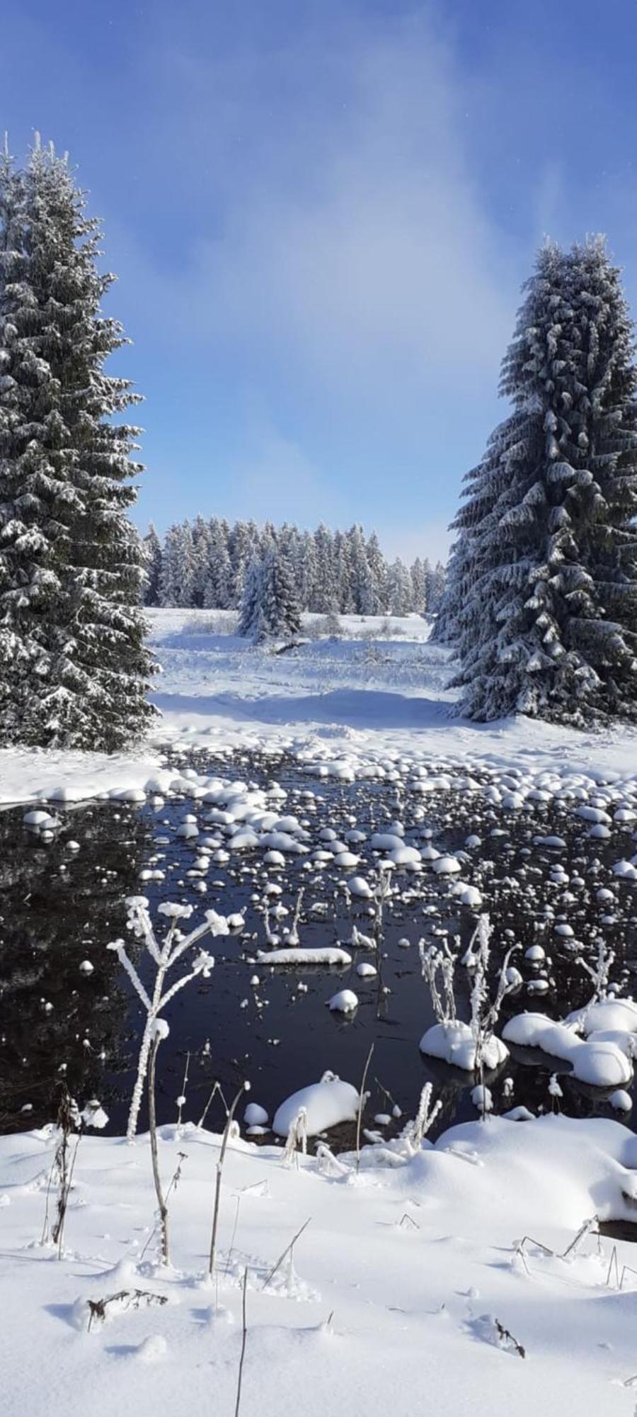 Restaurace A Penzion Vlci Jama Horní Blatná Exteriér fotografie